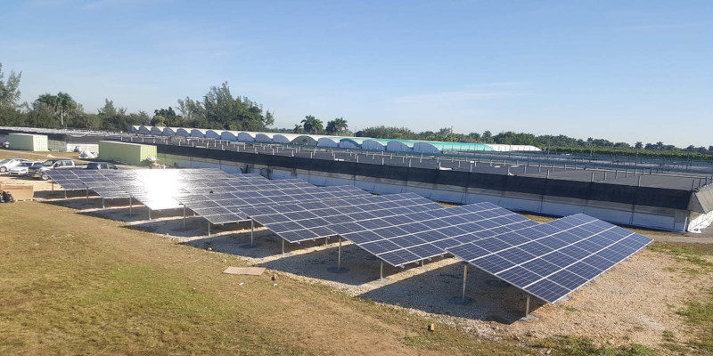 Photovoltaic Panels in Apopka, Florida
